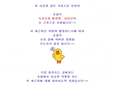 체형교정 호흡은 생명유지와 직결 